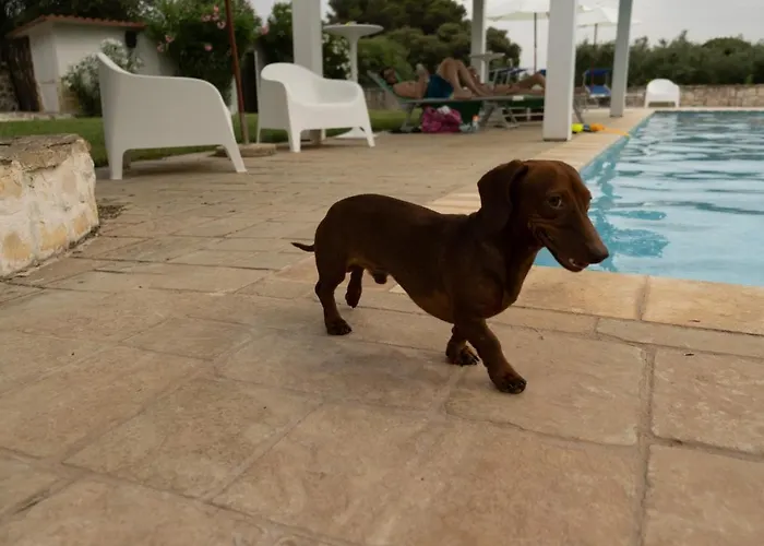 Casetta Letizia Landhuis *