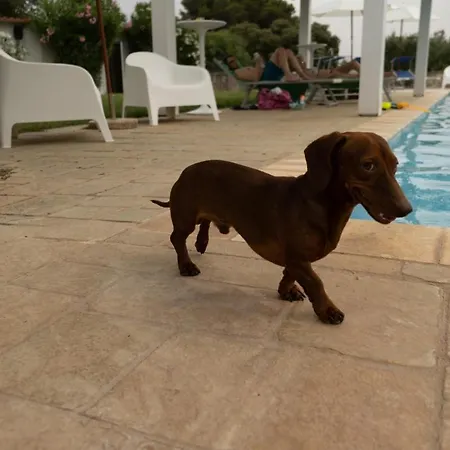 Casetta Letizia Hétvégi ház *